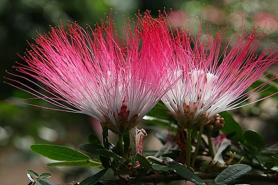 494F249A-25DE-438E-8211-0A44BFEADB9B